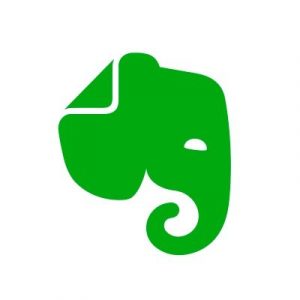 Green elephant head